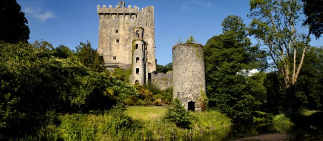 blarney castle and gardens banner
